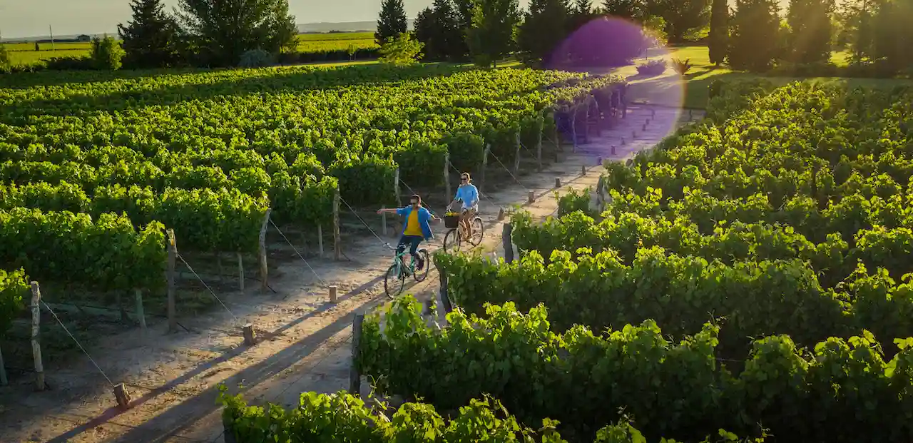 Cómo organizar un viaje de lujo por Argentina: itinerario premium de 10 días